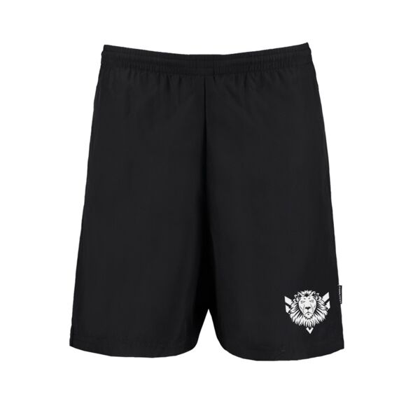 Mesh Lined Training Shorts Thumbnail